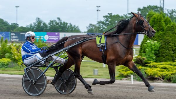 Importerte trippelmillionær