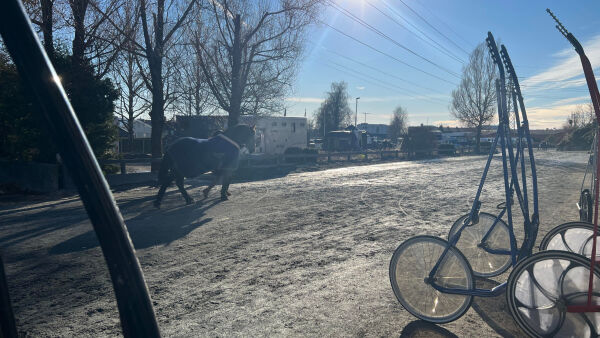 Gode nyheter til travet