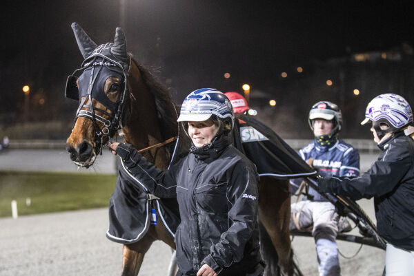 - En fin hest med stor kapasitet