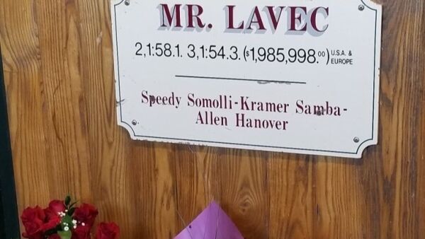 Hesten som forandret Jimmy Takters liv