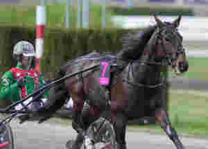 - Reiser hjem neste uke
