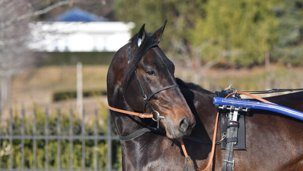 Sjokkcomeback for OGP-hest, Prix de France-hestene og ny sportssjef