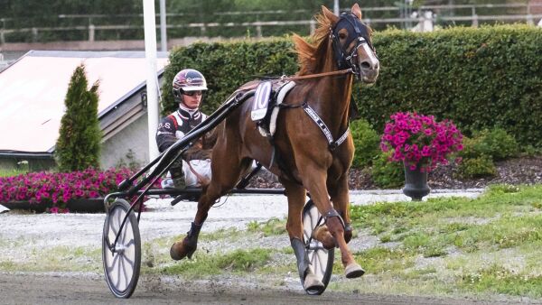 - Hun er i sitt livs form