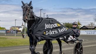 Solid etter startgalopp
