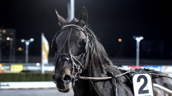 Minner om Bold Eagle, under pari og alle tester negative