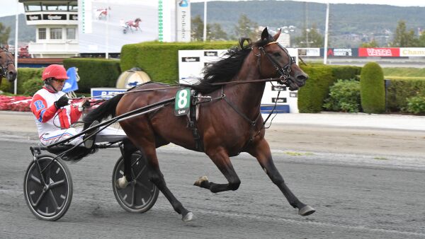Vinnerhest flyttet sørover