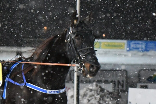 - All skryt til Madeleine her