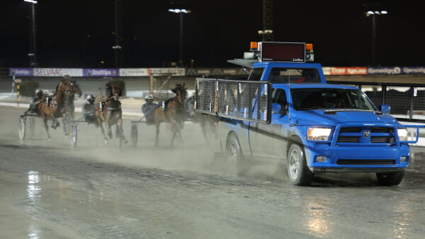 Dyr kveld på jobb
