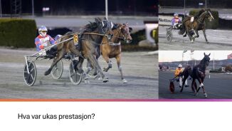 - Hun er ei toppmerr