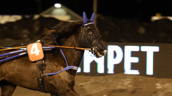 - Gir meg med hest