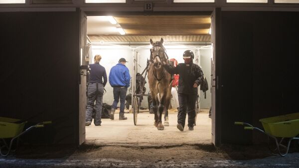 664.803 kroner til travlagene