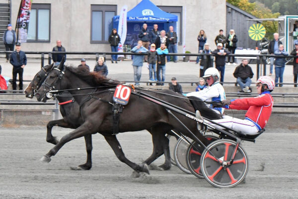 Suste over grensen