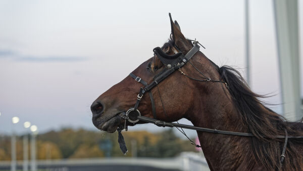 Slutt for en av de beste