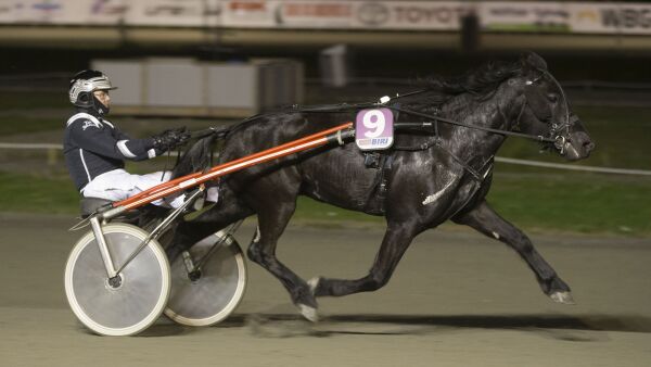 Balder da Olaf reiste i galopp
