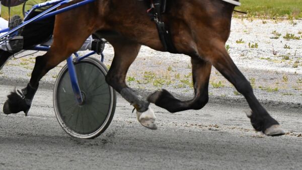 Politianmeldt etter driving