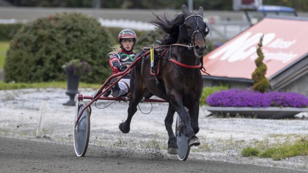 Guro og Pave Faks er sant