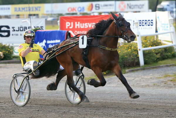 Mot norsk nappetak