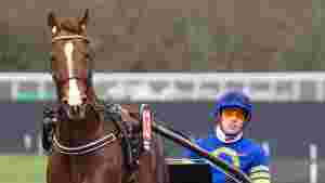 - Håper på Solvalla en siste gang