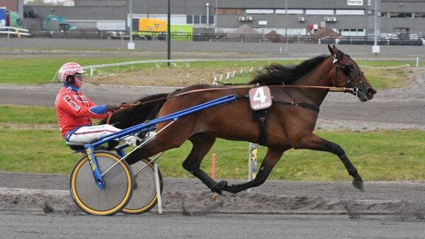USA-reisen ble en topp avslutning