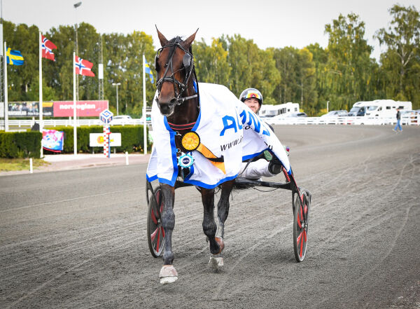 Lekker norskeid fireåring