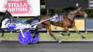 Breeders Crown-vinneren til Sverige