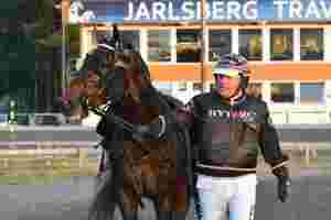 To nye hester klare