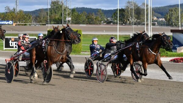 Eye Of The Tiger tilbake, kusk anmeldt og millionsalg