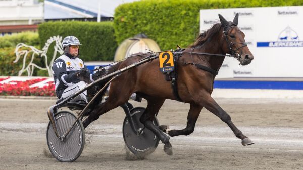 Toåring ble millionhandel