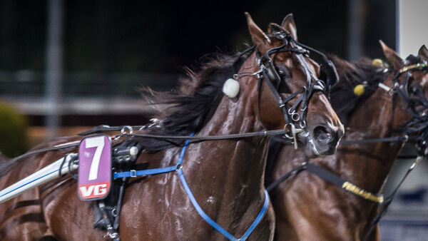 Bytter land, ikke trener
