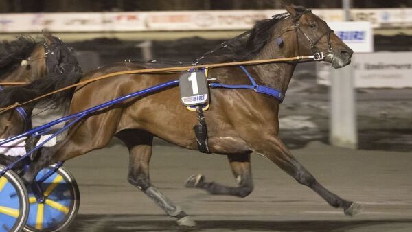Oz til Hamre