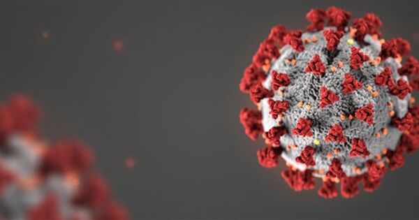 Coronautbrudd på hester i Norge