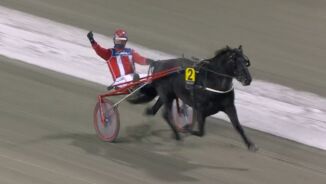 Jubel for stallens perle