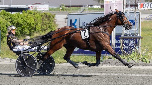 Sto i mot Westergaard og Hamre