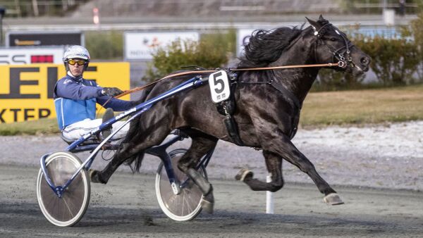 To strake Hamre-favoritter