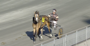 Promille-tatt, lisens-fall og karriere-slutt