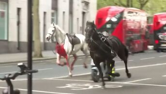 Hestekaos i Londons gater