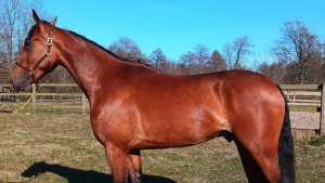 - Godt tips fra Ludde