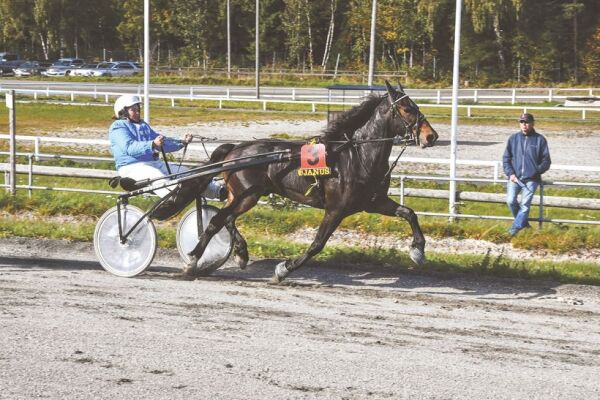 Gledestårer for Rise Kongen