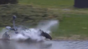 Kastet av Stig H og hoppet i tjernet