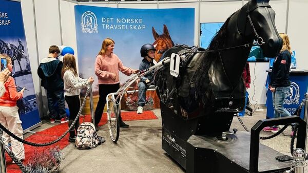 Skal bruke en million på en slik