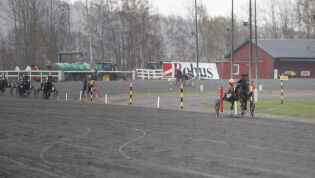 Er dette årets mest overlegne vinner?
 Foto: hesteguiden.com