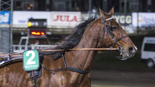 Stjernen døde etter løpet