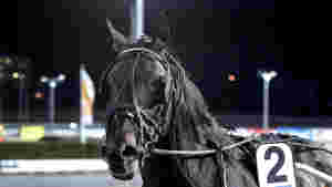 Minner om Bold Eagle, under pari og alle tester negative