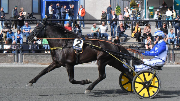 Vurderer flytting
