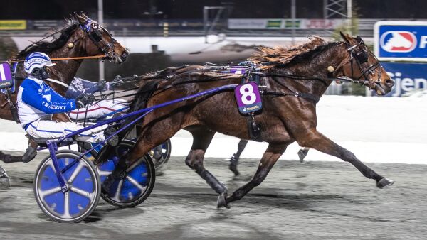 - Spennende å få inn slike hester