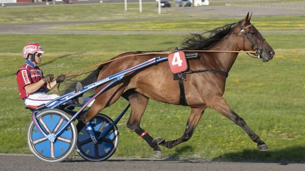 Topphoppe reiser til Brenne