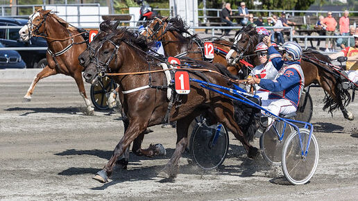 Bøtelagt for seiersjubel i V75
