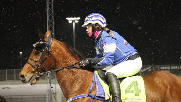 - Dette har stoppet meg