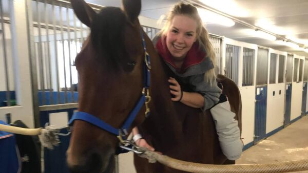 Sterkt gjensyn i stallen