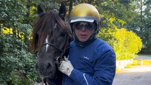 Fireårstopp flyttet, hingst solgt og vinnerhest avlivet